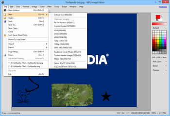 NPS Image Editor screenshot 2