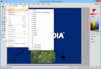 NPS Image Editor screenshot 3