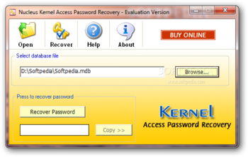Nucleus Kernel Access Password Recovery screenshot