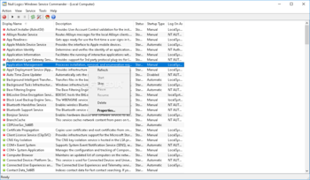Null Logics Windows Service Commander screenshot