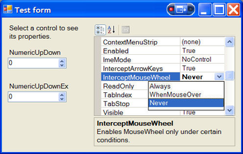 NumericUpDown extended control screenshot