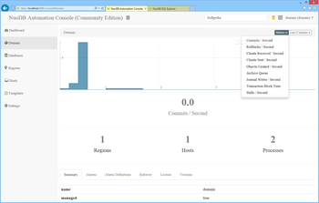 NuoDB screenshot 3