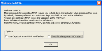 NVDA Screen Reader screenshot