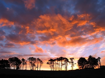 NZ Bliss Desktop Backgrounds screenshot