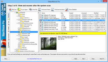 ObjectRescue Pro screenshot 3