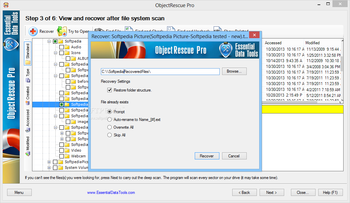 ObjectRescue Pro screenshot 4