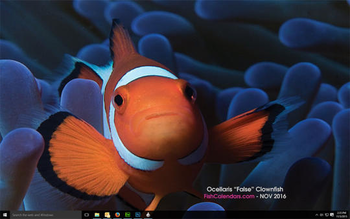 Ocean Treasures 2016 screenshot