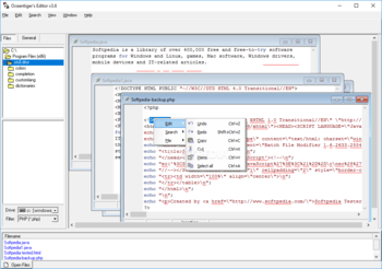 Oceantiger's Editor screenshot