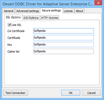 ODBC Driver for ASE screenshot 3