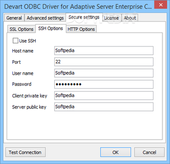 ODBC Driver for ASE screenshot 4