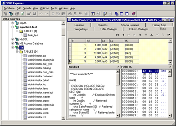 ODBC Explorer screenshot