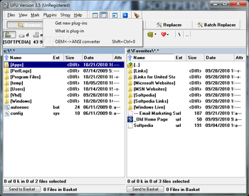 OEM ANSI converter screenshot