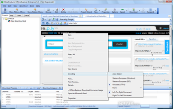 Offline Explorer Enterprise screenshot 4