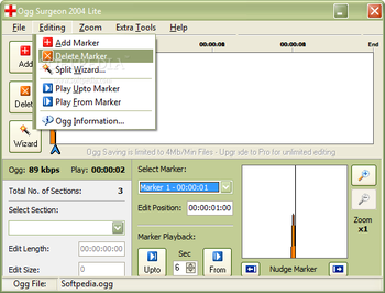 Ogg Surgeon 2004 Lite screenshot