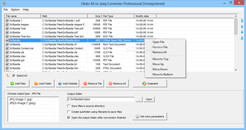 Okdo All to Jpeg Converter Professional screenshot