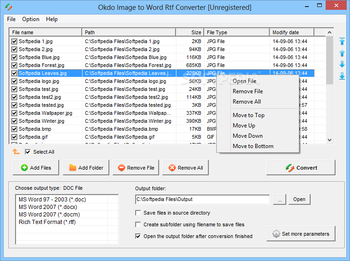 Okdo Image to Word Rtf Converter screenshot