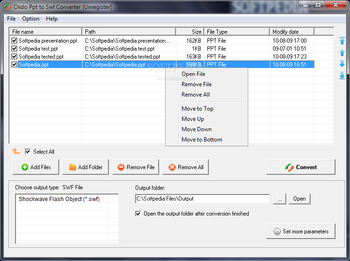 Okdo Ppt to Swf Converter screenshot