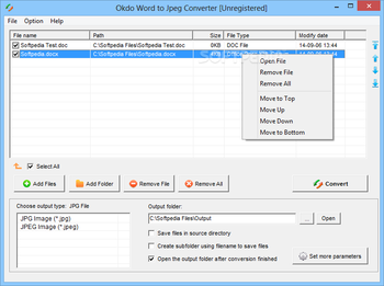 Okdo Word to Jpeg Converter screenshot