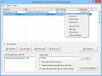 Okdo Word to Swf Converter screenshot