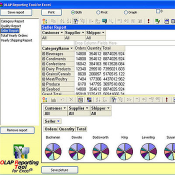 OLAP Reporting Tool for Excel screenshot 2