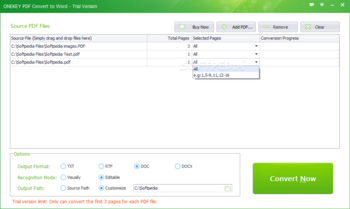 ONEKEY PDF Convert to Word screenshot