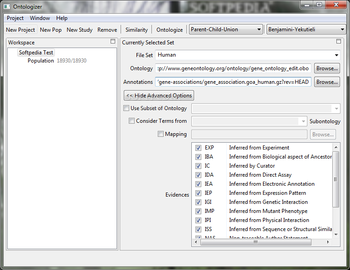 Ontologizer screenshot