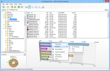 O&O DiskStat Professional Edition screenshot 2