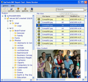 Open BKF File screenshot 3