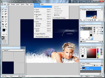 openCanvas Plus screenshot 9