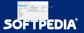 OpenConnect-GUI VPN client screenshot 5