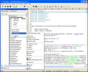 OpenEditor screenshot