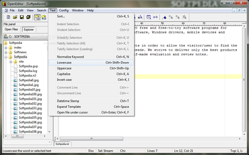 OpenEditor screenshot 6