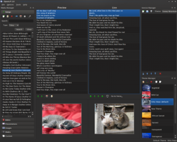 OpenLP screenshot 2