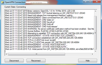 OpenVPN screenshot 2
