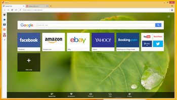 Opera browser screenshot 5