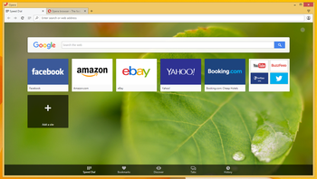Opera browser screenshot 6