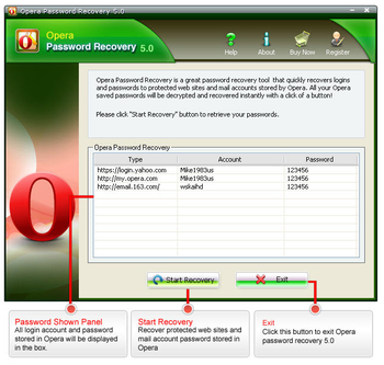 Opera Password Recovery screenshot 2