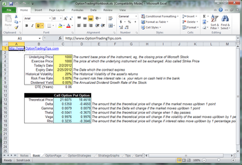 Option Trading Workbook screenshot