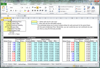 Option Trading Workbook screenshot 2