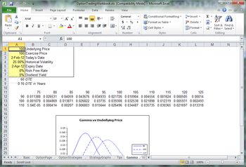 Option Trading Workbook screenshot 6