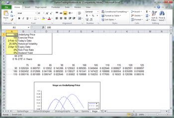 Option Trading Workbook screenshot 7