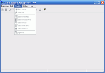 Oracle Session Manager screenshot 2