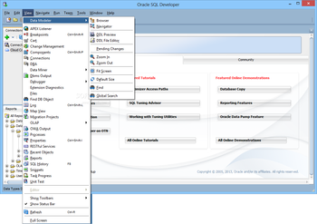 Oracle SQL Developer screenshot 3
