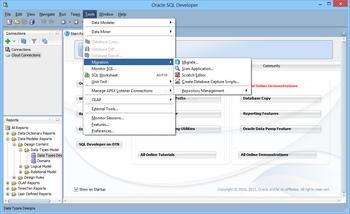 Oracle SQL Developer screenshot 5