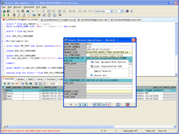 Oracle SQL Handler screenshot 3