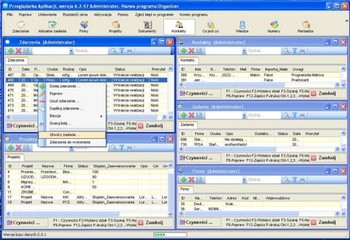 Organizer screenshot