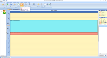 OrgScheduler LAN screenshot 3