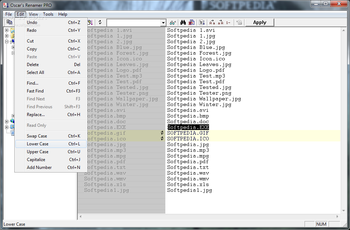 Oscar's Renamer PRO screenshot 2