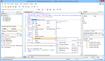 oXygen XML Author screenshot