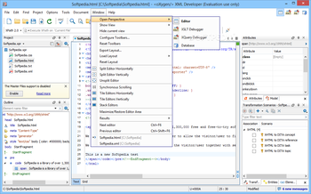 oXygen XML Developer screenshot 10